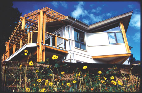 This Trex deck—a composite of recycled plastic and wood fiber—offers stunning views from just outside David Johnston’s home office. The trellis shades the south-facing windows during the summer.